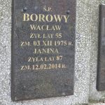 Wacław Borowy