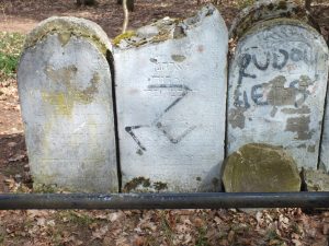 acewy na dawnym cmentarzu żydowskim w Augustowie - stan obecny. Fot. Ryszard Korąkiewicz