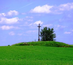 Widok na mogiłki w Uściankach. Fot. Józefa Drozdowska
