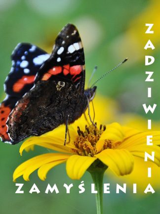 Zadziwienia, zamyślenia