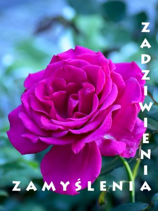 Zadziwienia, zamyślenia 2