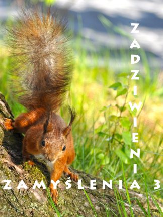 Zadziwienia, zamyślenia 3