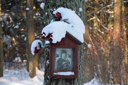 Kapliczka. Fot. Katarzyna Olfier-Halicka