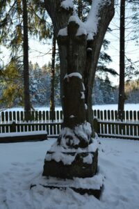 Krzyż kamienny. Fot. Katarzyna Olfier-Halicka
