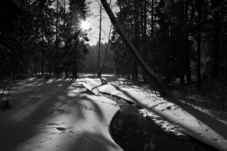 Rzeczka Jałówka. Fot. Katarzyna Olfier-Halicka