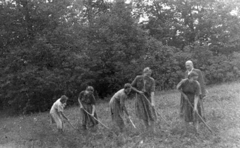 Praktyki szkolne w Dowspudzie pod nadzorem Putry. Praktyki szkolne w Dowspudzie pod nadzorem Putry.