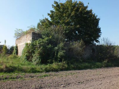 Ruin of the fours. Ruina czworaków.