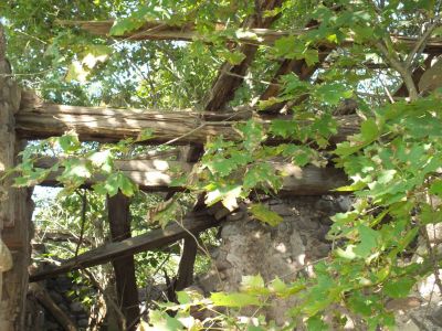 Ruiny czworaków. Belki pochodzą z pierwszej połowy XIX wieku. Ruiny czworaków. Belki pochodzą z pierwszej połowy XIX wieku.