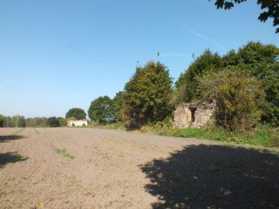 Fours in the foreground, a granary in the distance. Na pierwszym planie czworaki, w oddali spichlerz.