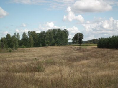 Tranches. Transzeje.