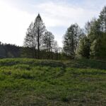 Fragment grobli na lewym brzegu rzeki Fragment grobli na lewym brzegu rzeki