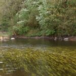 Kamienie po fundamencie młyna Kamienie po fundamencie młyna