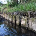 Palisada będąca częścią umocnień wału Palisada będąca częścią umocnień wału