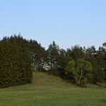 Zjazd na sianożęci i do młyna od strony folwarku Popaśnia Zjazd na sianożęci i do młyna od strony folwarku Popaśnia